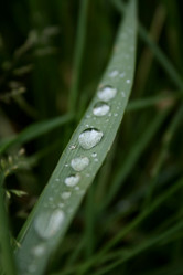 Similar image 271141