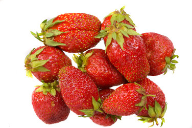 Similar image 271155