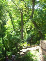 Similar image 271194