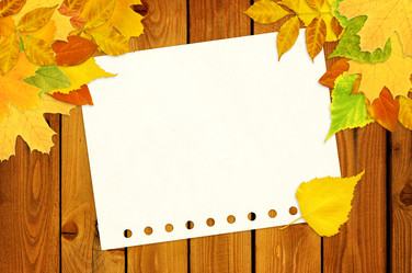 Similar image 271197