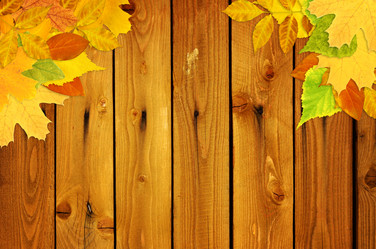 Similar image 271201