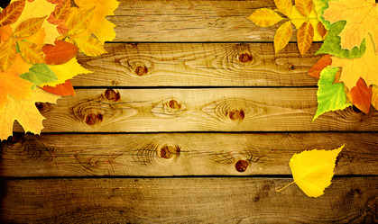 Similar image 271202