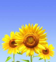 Similar image 271204