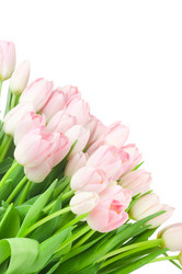 Similar image 271237