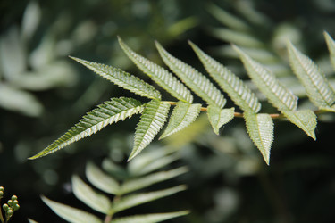 Similar image 271246