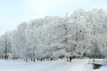 Similar image 271255