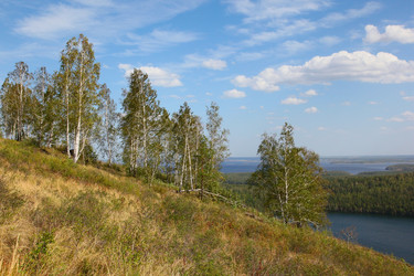 Similar image 271261