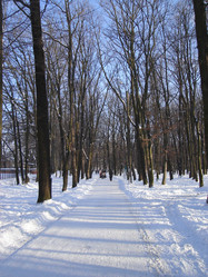 Similar image 271381