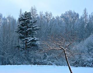 Similar image 271382