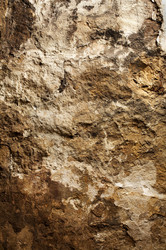 Similar image 271392