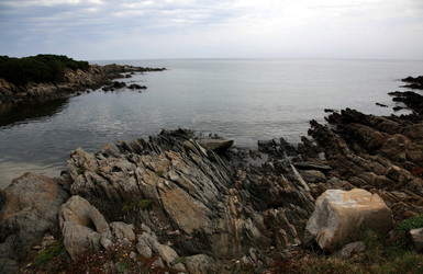 Similar image 271435