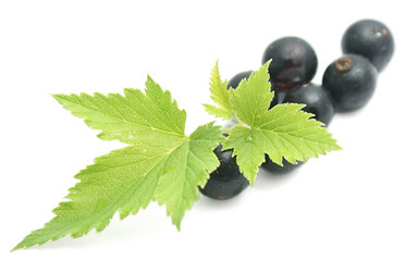 Similar image 271437