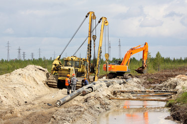 Similar image 271490