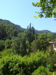 Similar image 271499