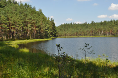 Similar image 271520