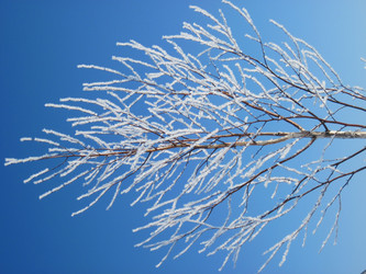 Similar image 271554