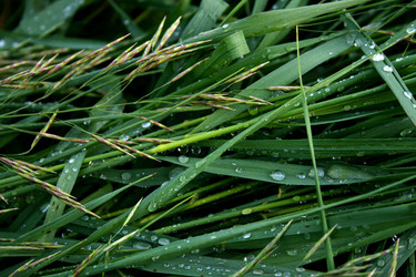 Similar image 271568