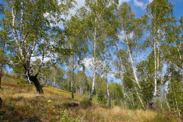 Similar image 271656