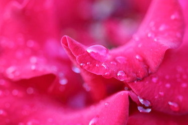 Similar image 271728