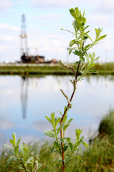 Similar image 271748