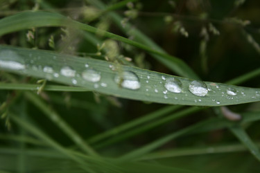 Similar image 271790