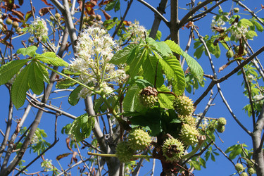 Similar image 271823