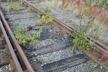 Similar image 271930