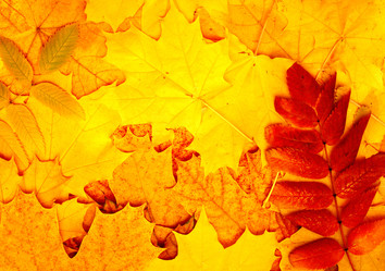 Similar image 271947