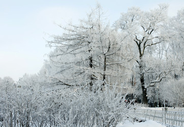 Similar image 271951