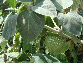 Similar image 271994