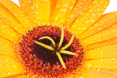 Similar image 272028