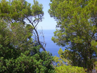 Similar image 272043