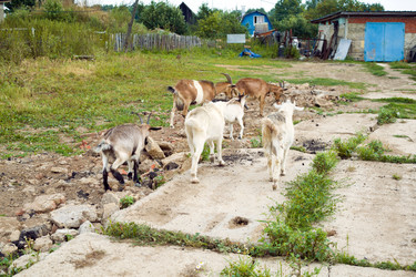 Similar image 272086