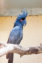 Similar image 272099