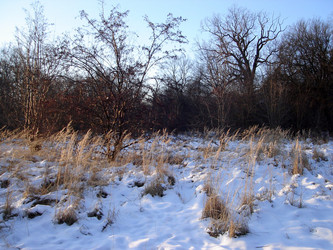 Similar image 272102