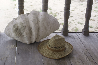 Similar image 272103