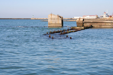 Similar image 272110