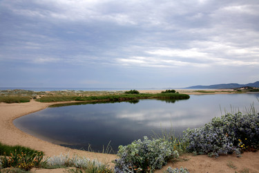 Similar image 272123