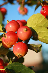 Similar image 272134