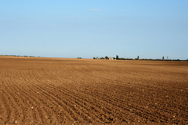 Similar image 272140