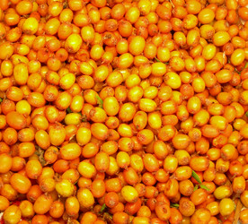 Similar image 272166