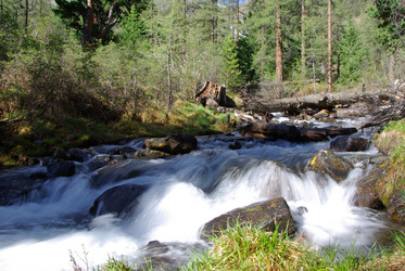 Similar image 272232