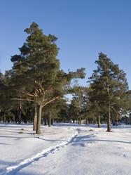 Similar image 272238