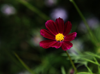 Similar image 272290