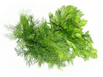 Similar image 272292