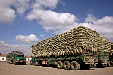 Similar image 272296