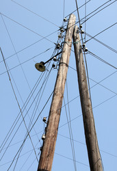 Similar image 272303