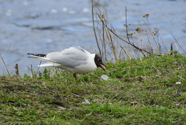 Similar image 272306