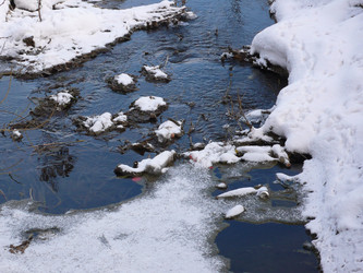 Similar image 272311