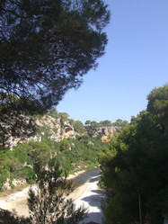 Similar image 272315